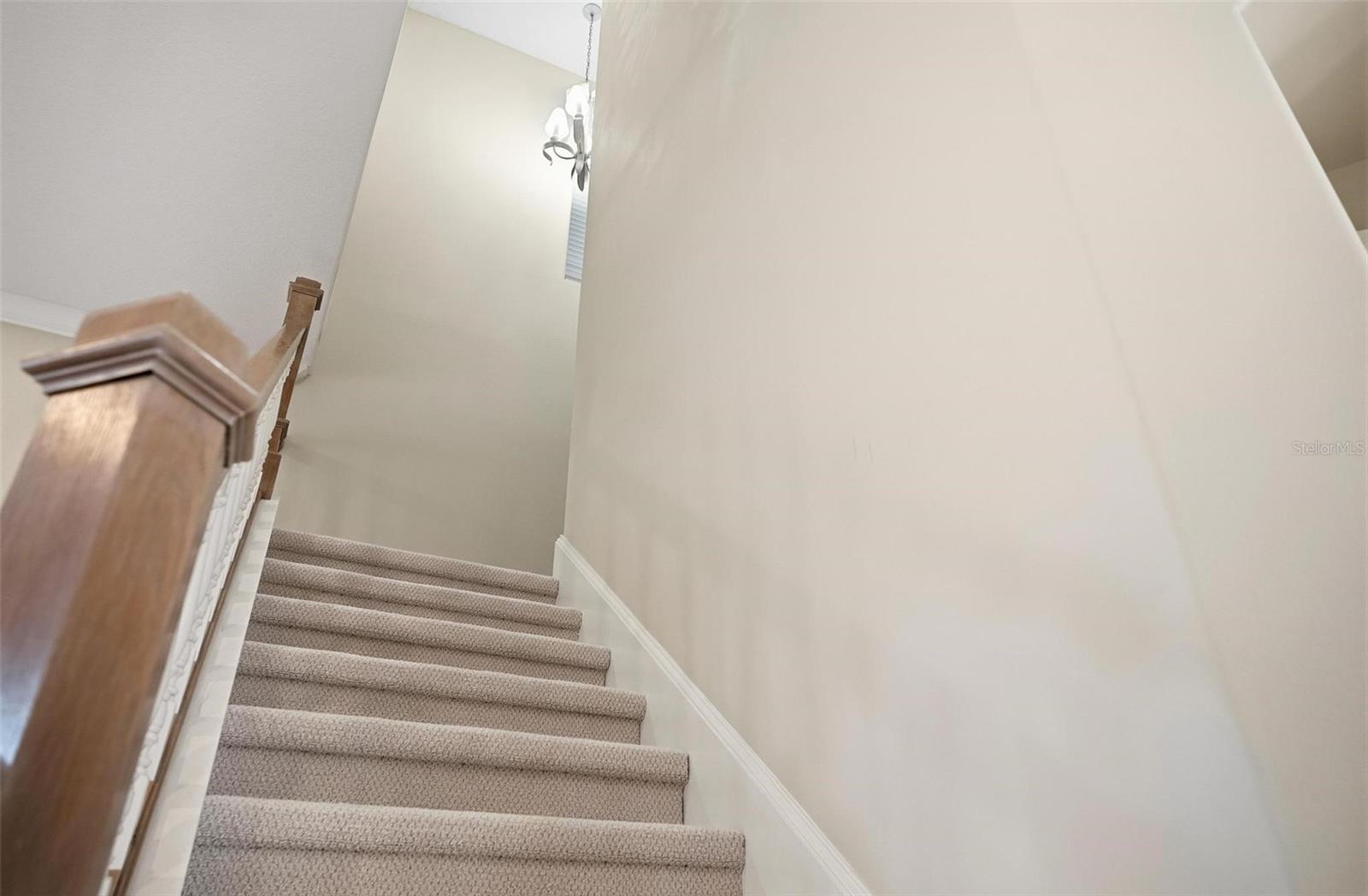 10 CORDOBA CT