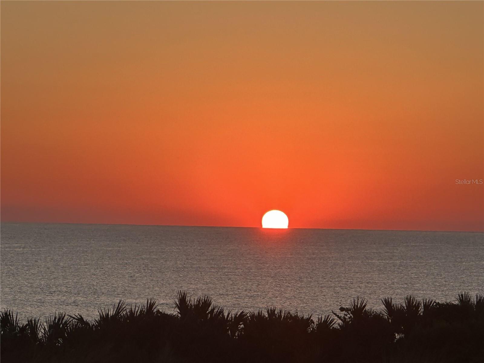 11 AVENUE DE LA MER #1101