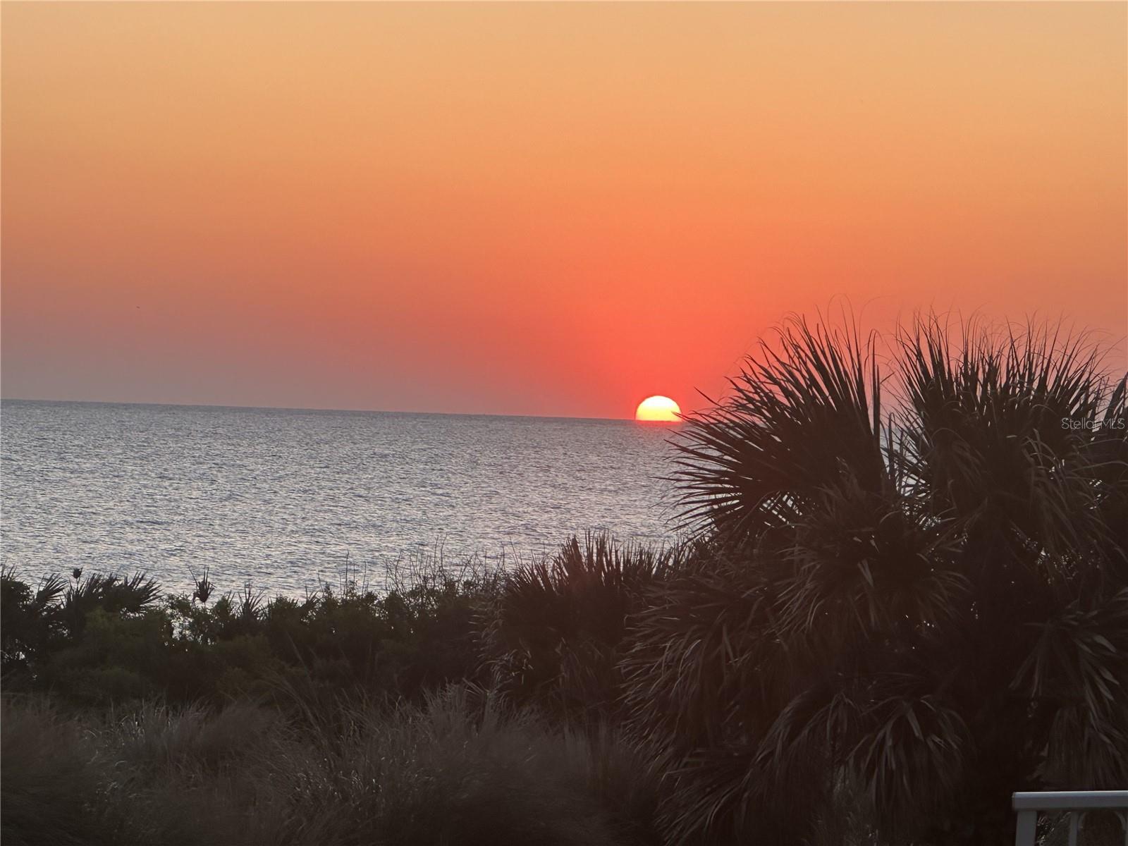 11 AVENUE DE LA MER #1101