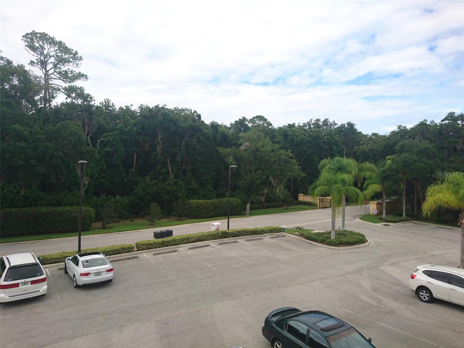 6 MERIDIAN HOME LN #101