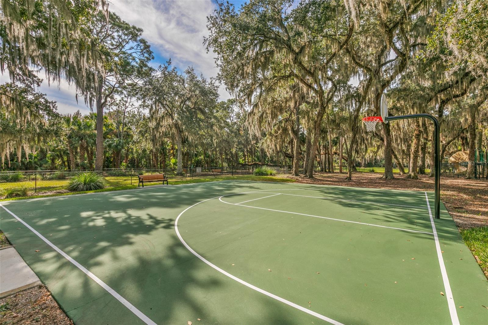 6 SCARLET OAK CIR