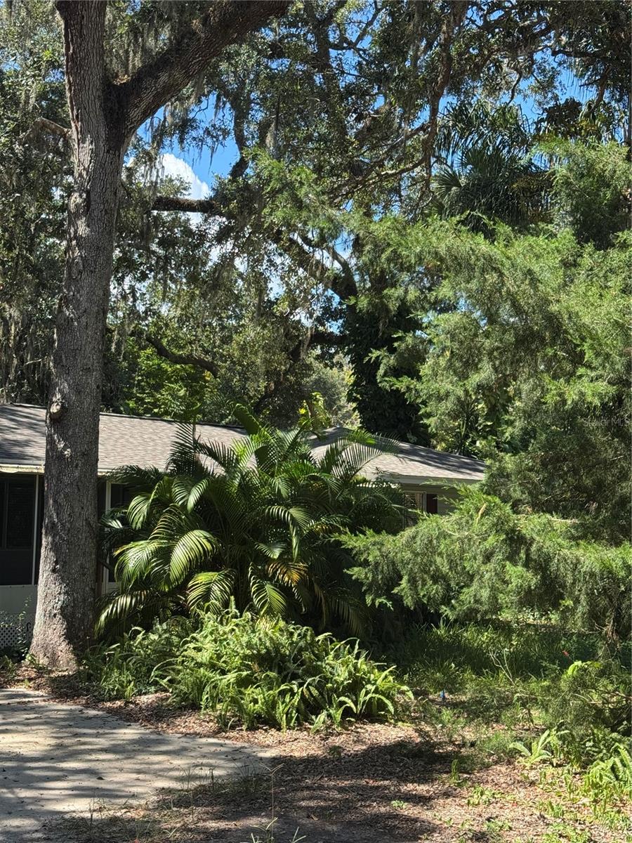 12 DAWSON DR