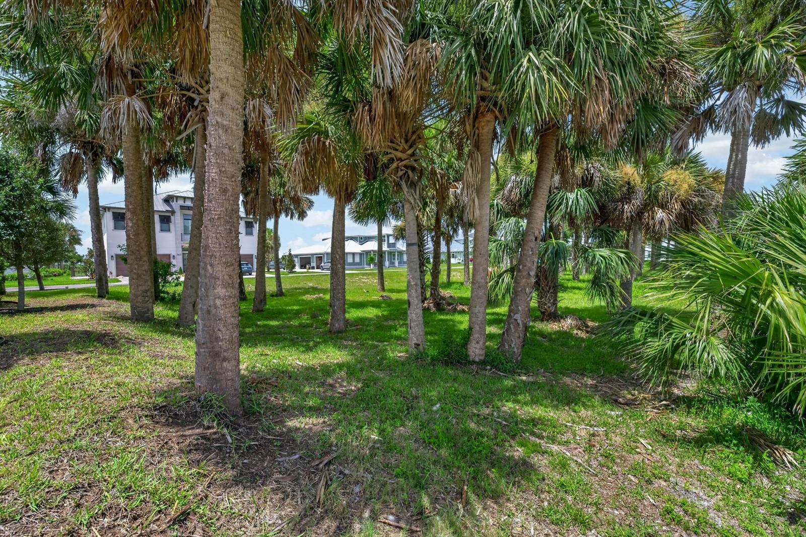 142 SEASIDE PT