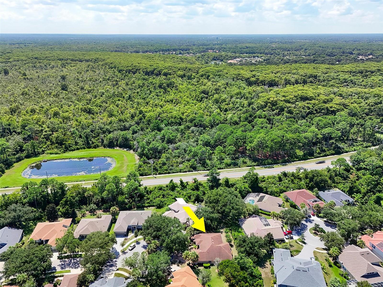 22 IBIS CT N