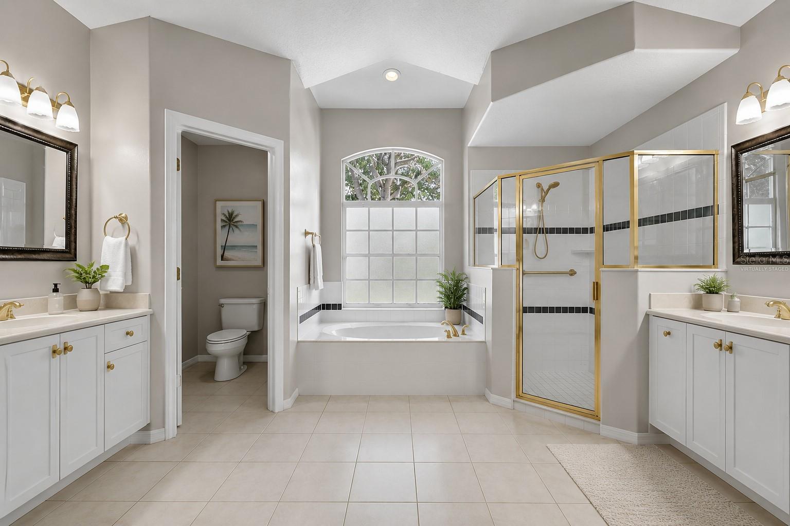 22 IBIS CT N