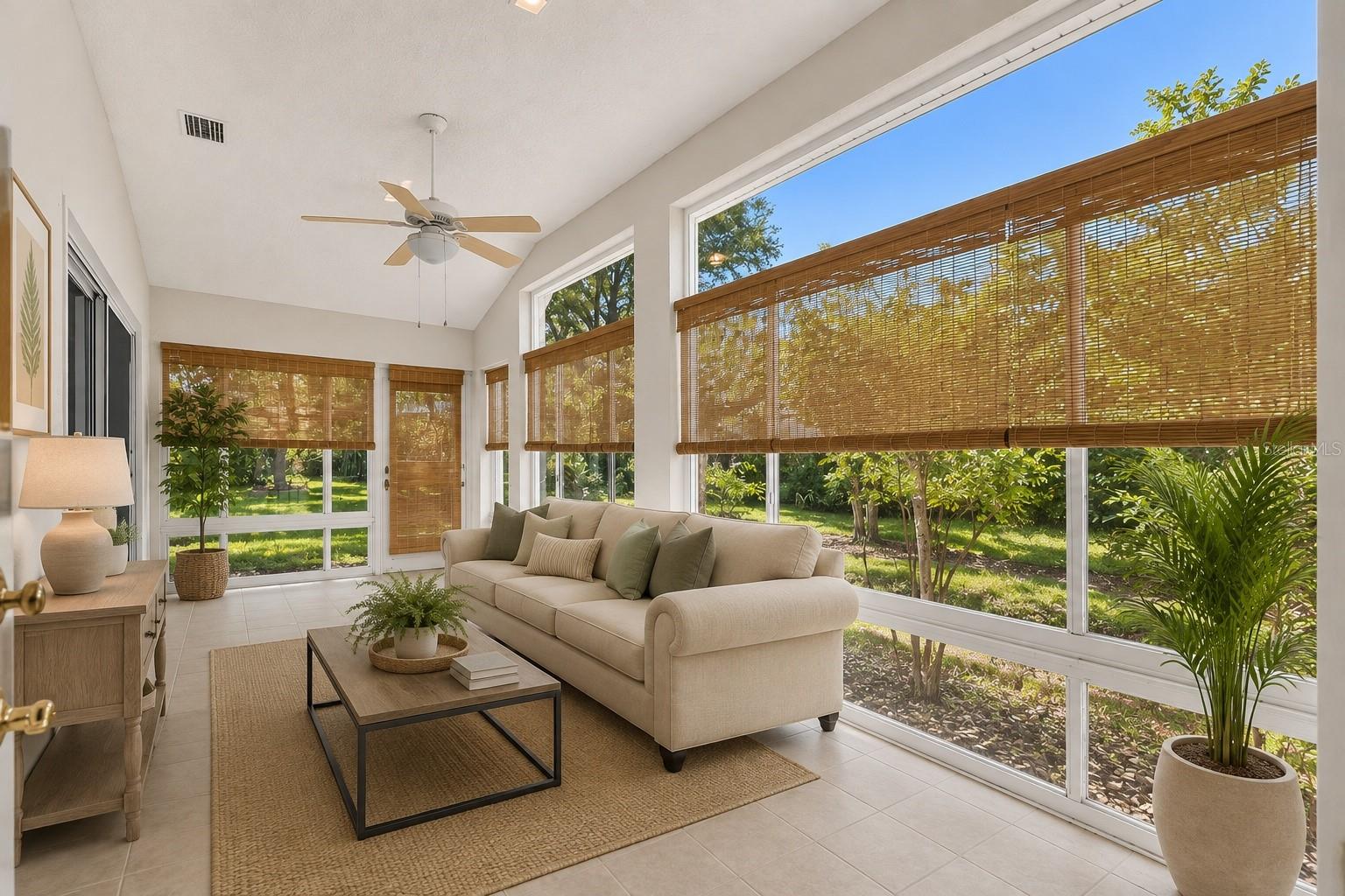 22 IBIS CT N