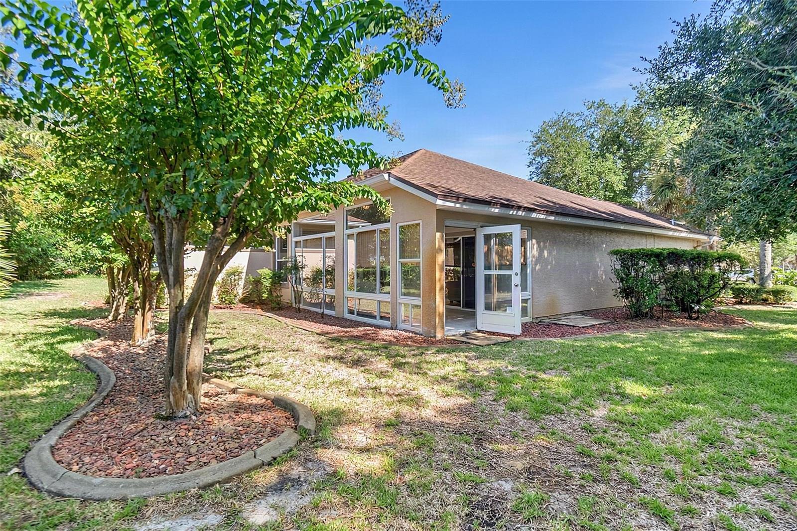 22 IBIS CT N
