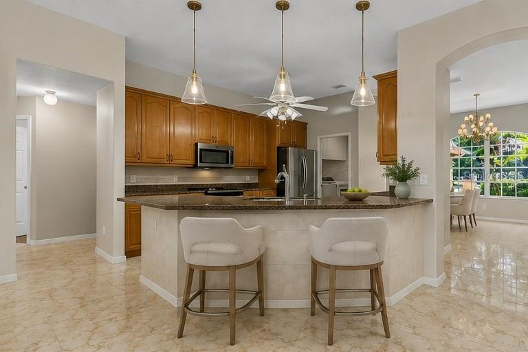 22 IBIS CT N