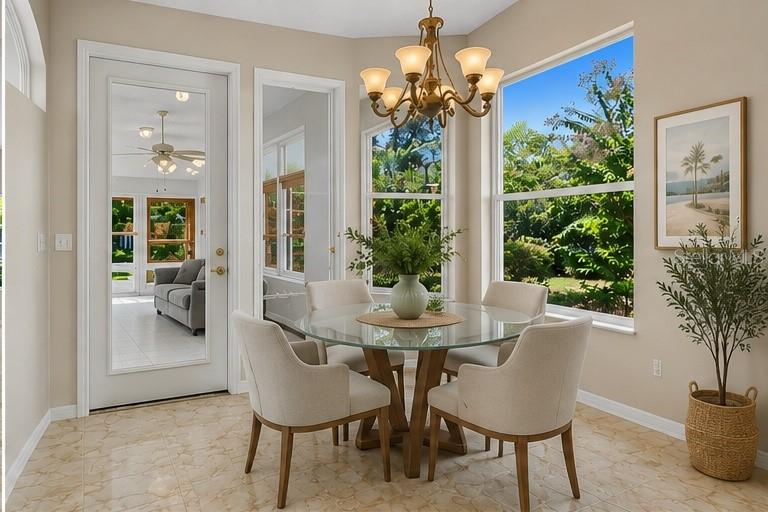 22 IBIS CT N