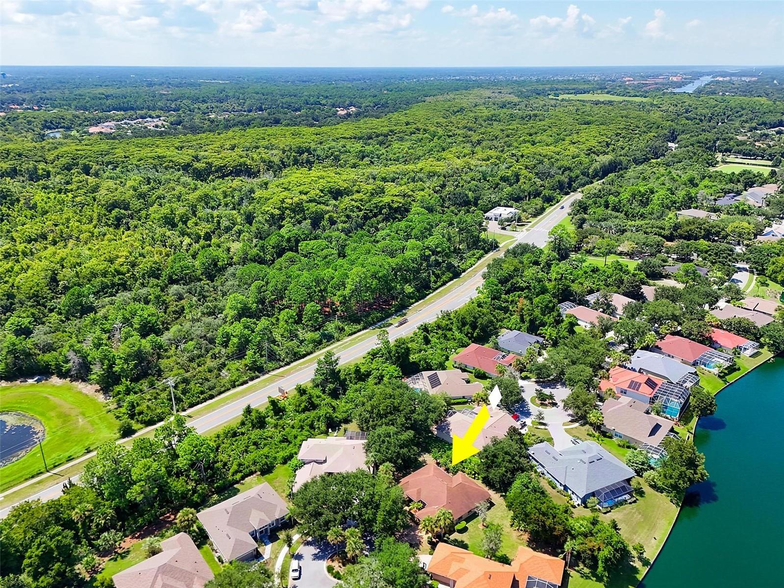 22 IBIS CT N