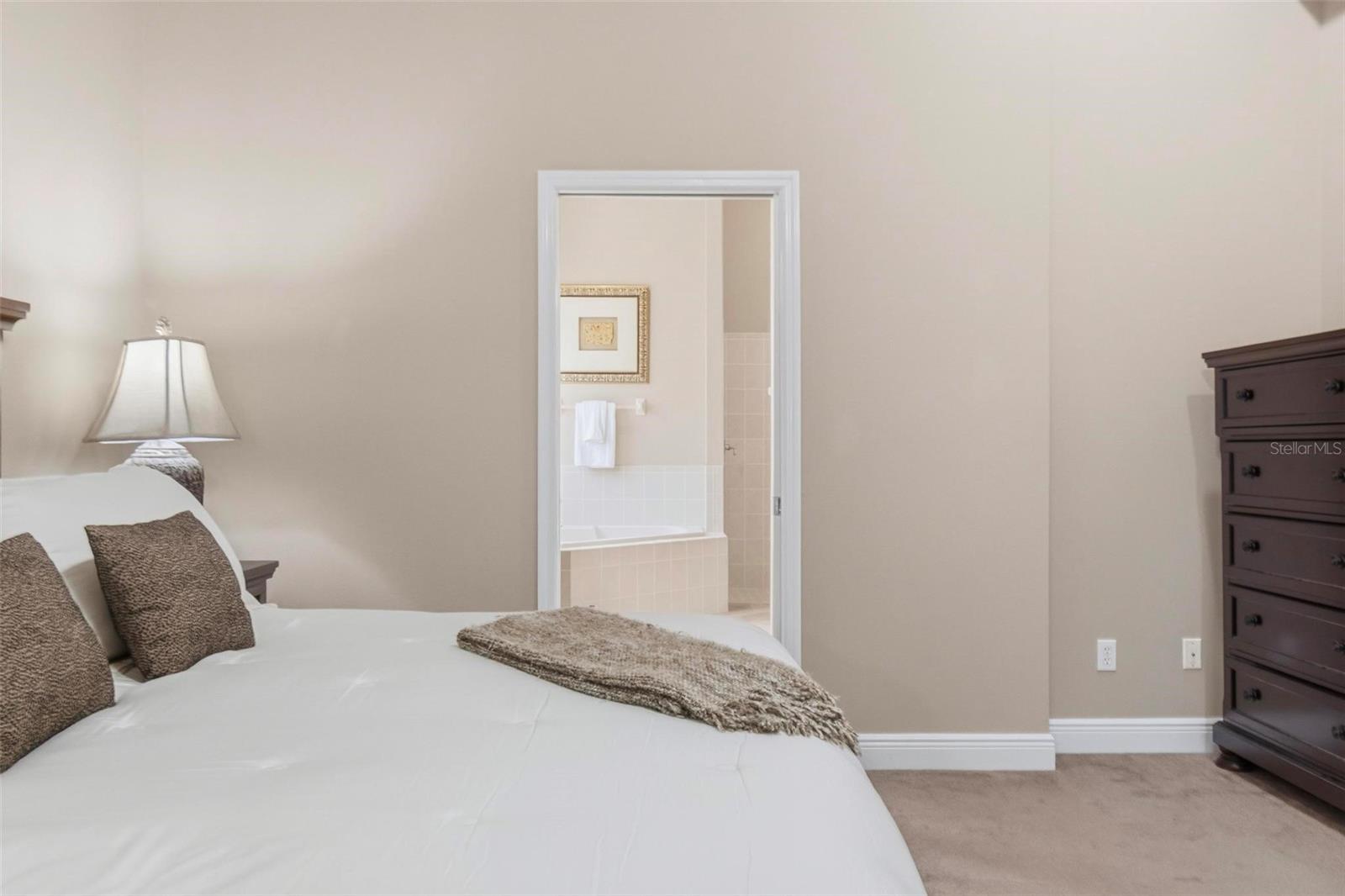 19 VILLAGE VIEW DR