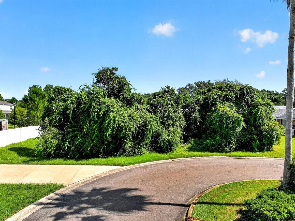 2 DEERSKIN LN
