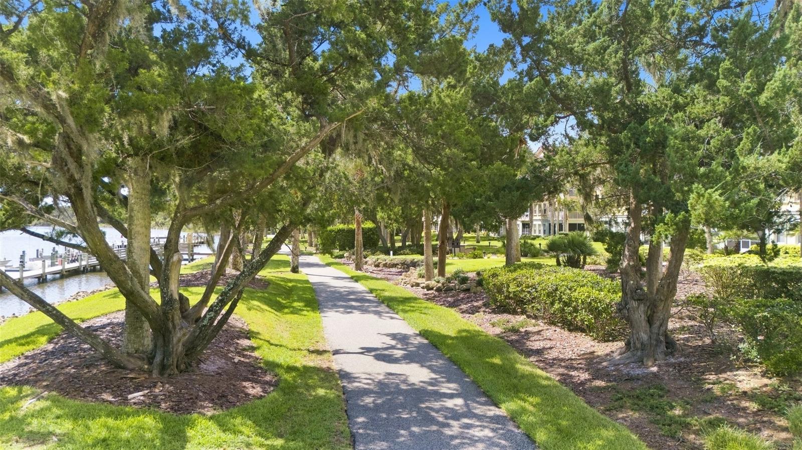 200 CANOPY WALK LN #243