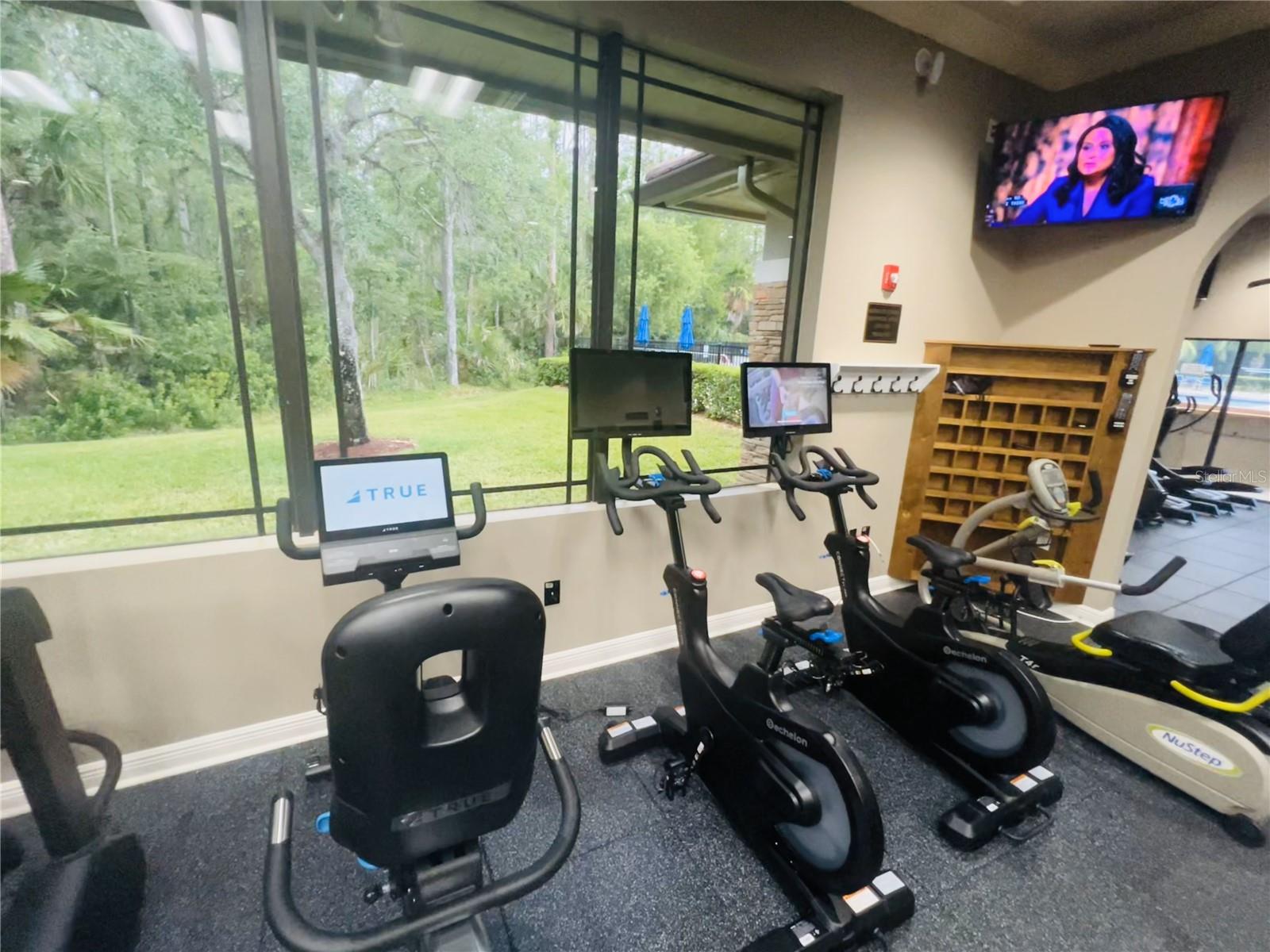 14963 YORKSHIRE RUN DR