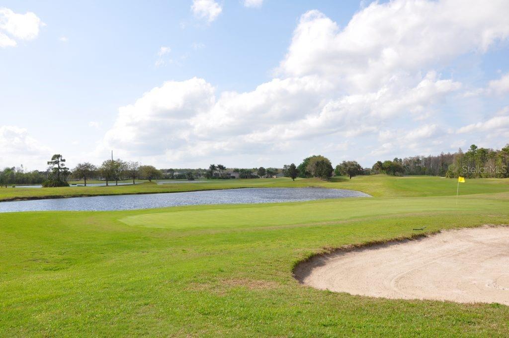 14963 YORKSHIRE RUN DR