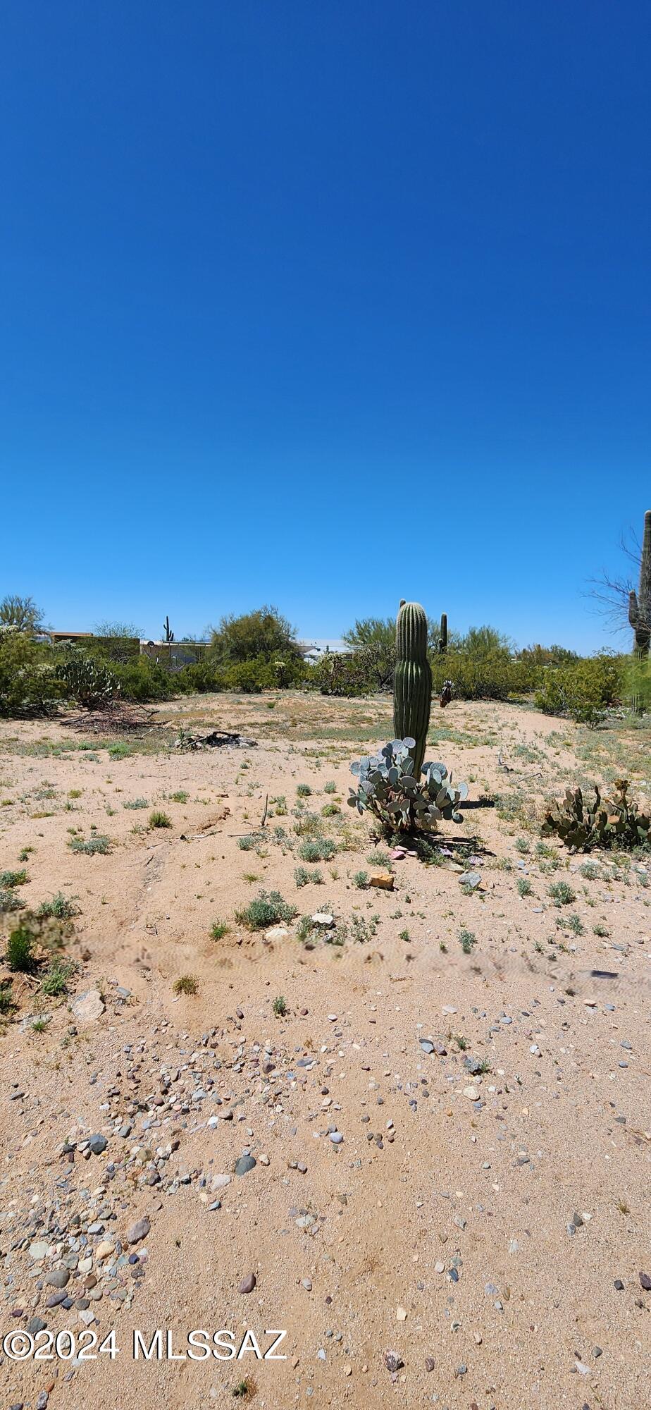 6465 N Hot Desert Trail