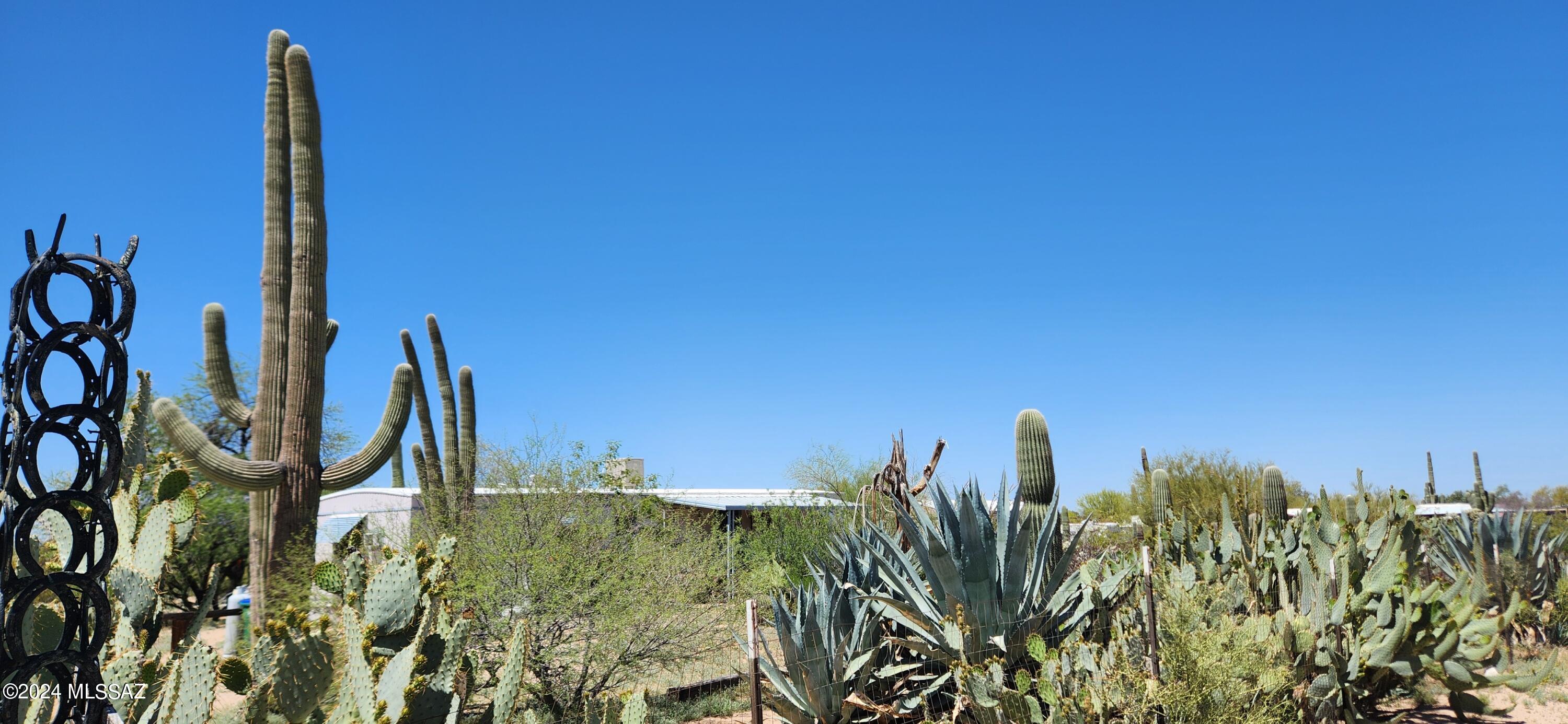 6465 N Hot Desert Trail