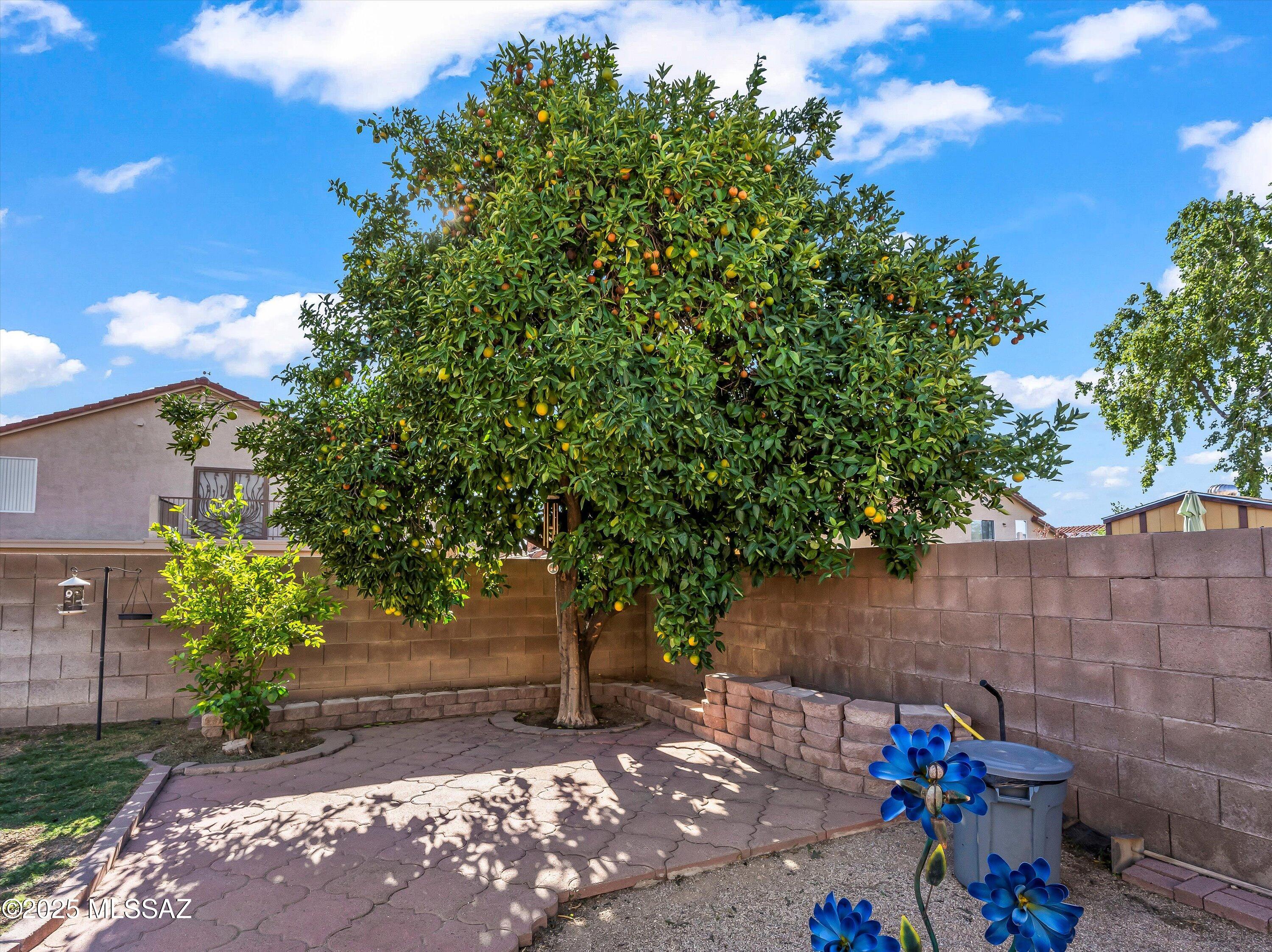 9048 E Orchid Vine Drive