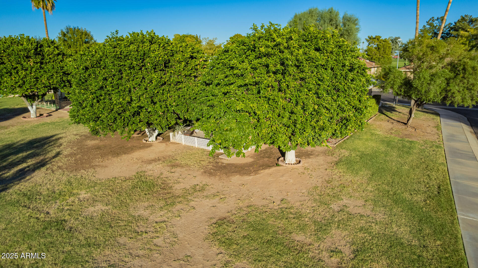 18402 N CONESTOGA Drive