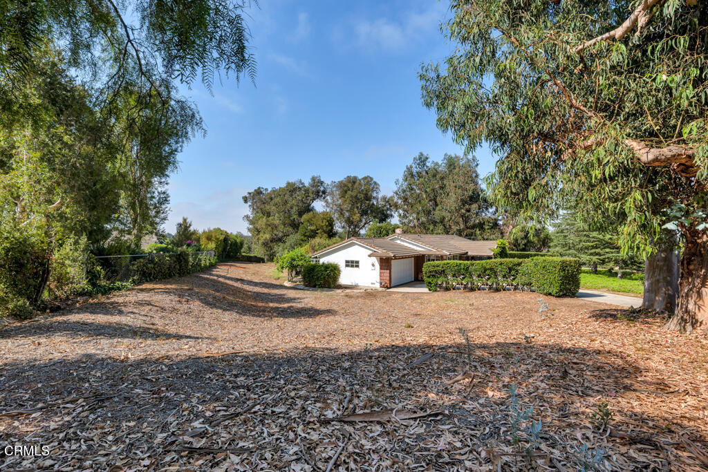 456 Avocado Place