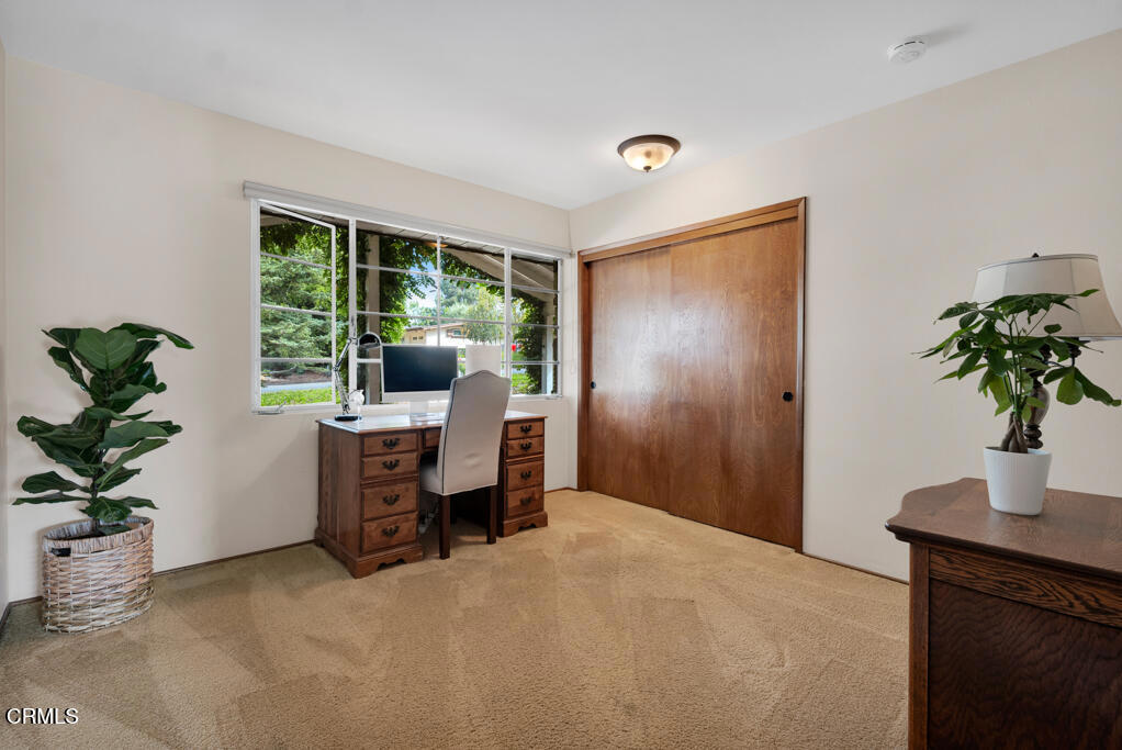 456 Avocado Place