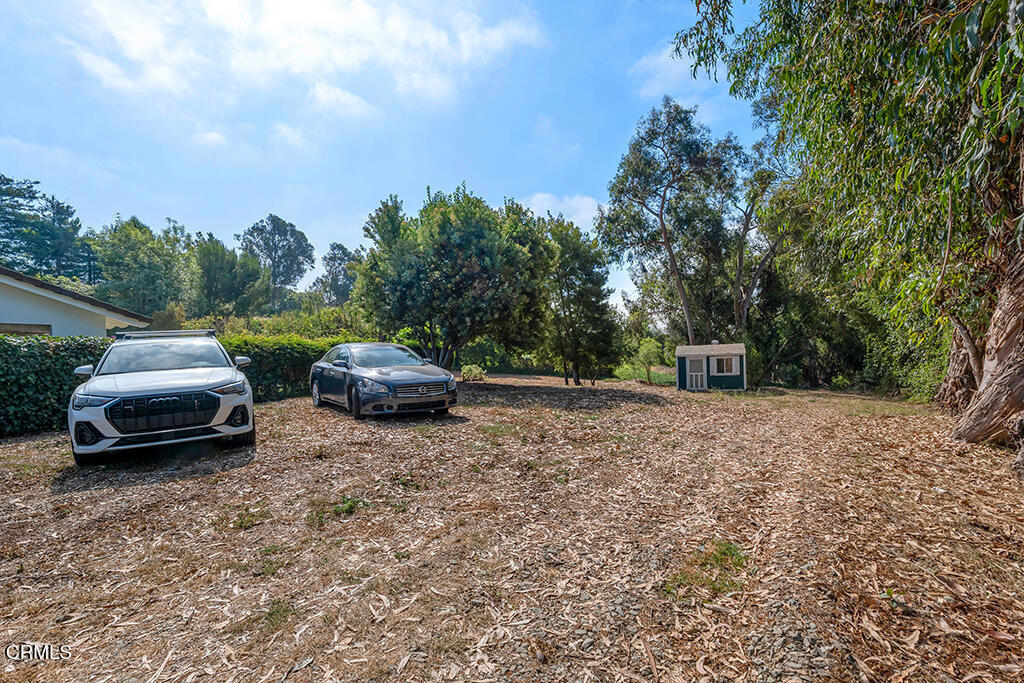 456 Avocado Place