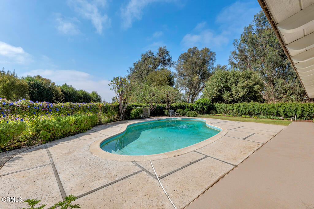 456 Avocado Place