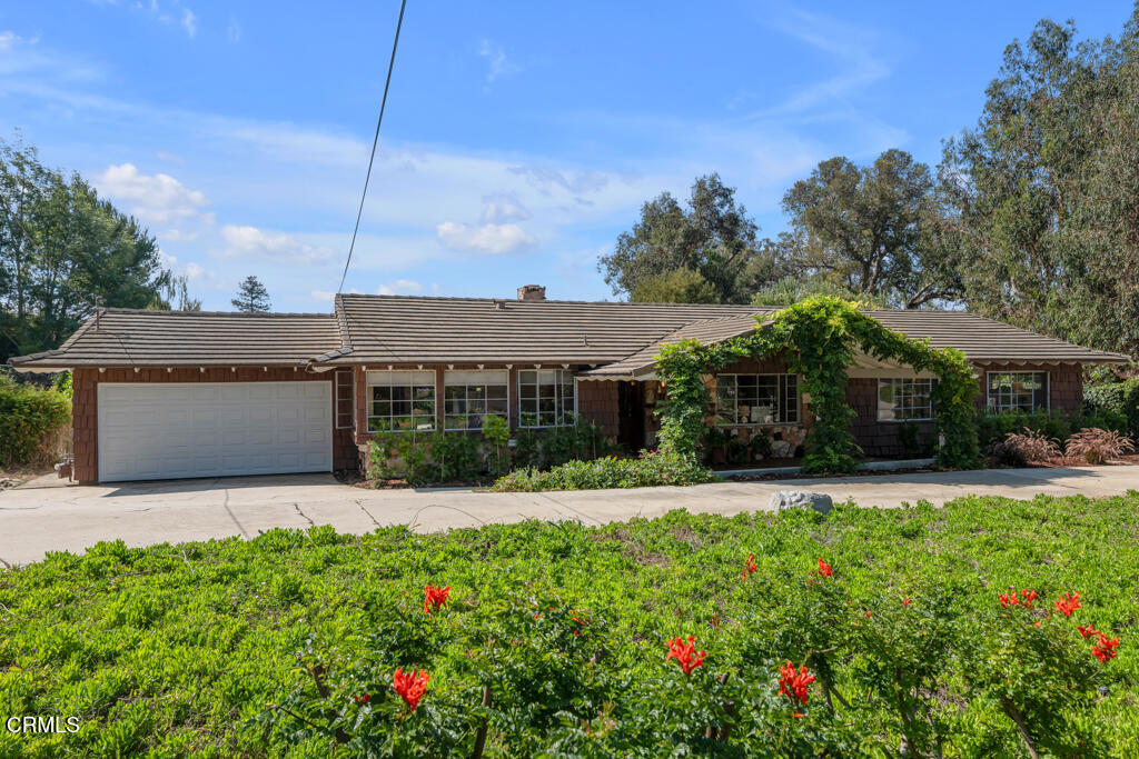 456 Avocado Place