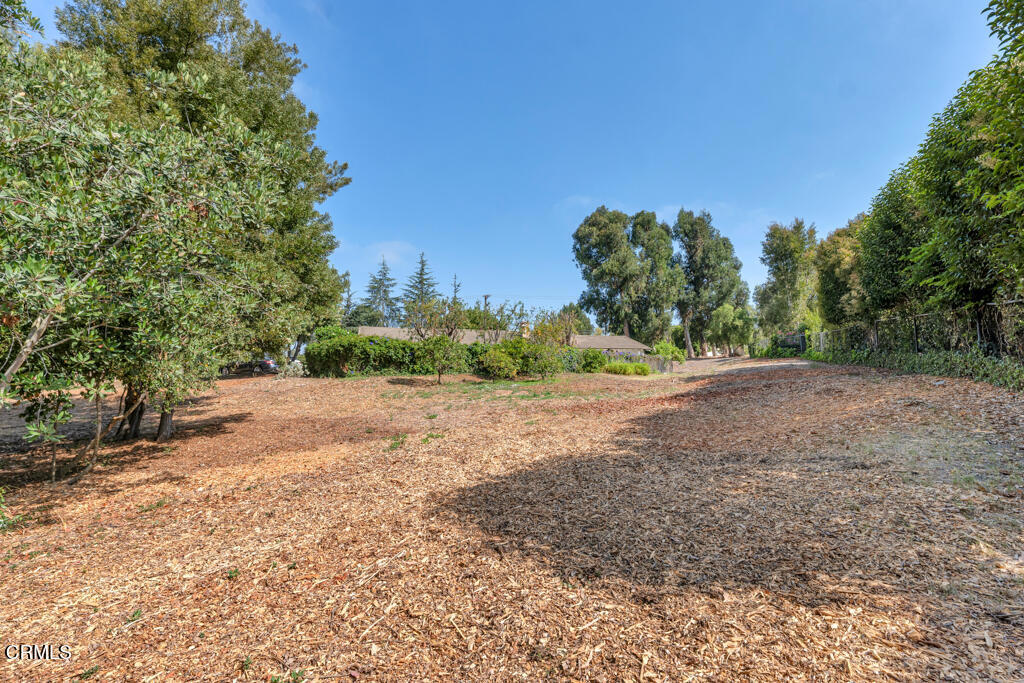 456 Avocado Place