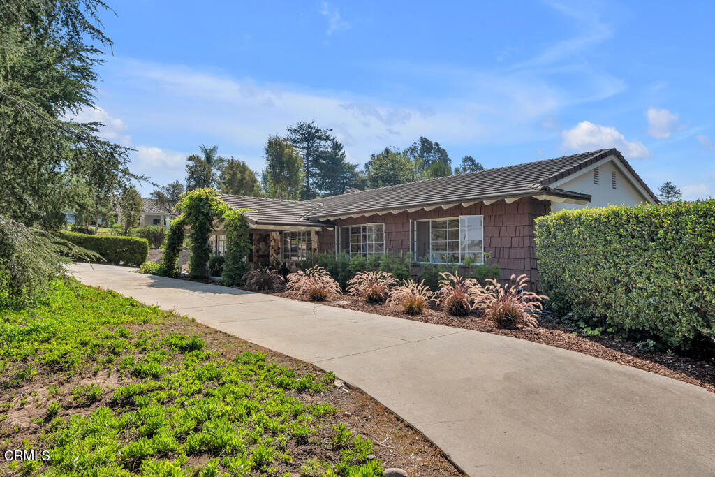 456 Avocado Place
