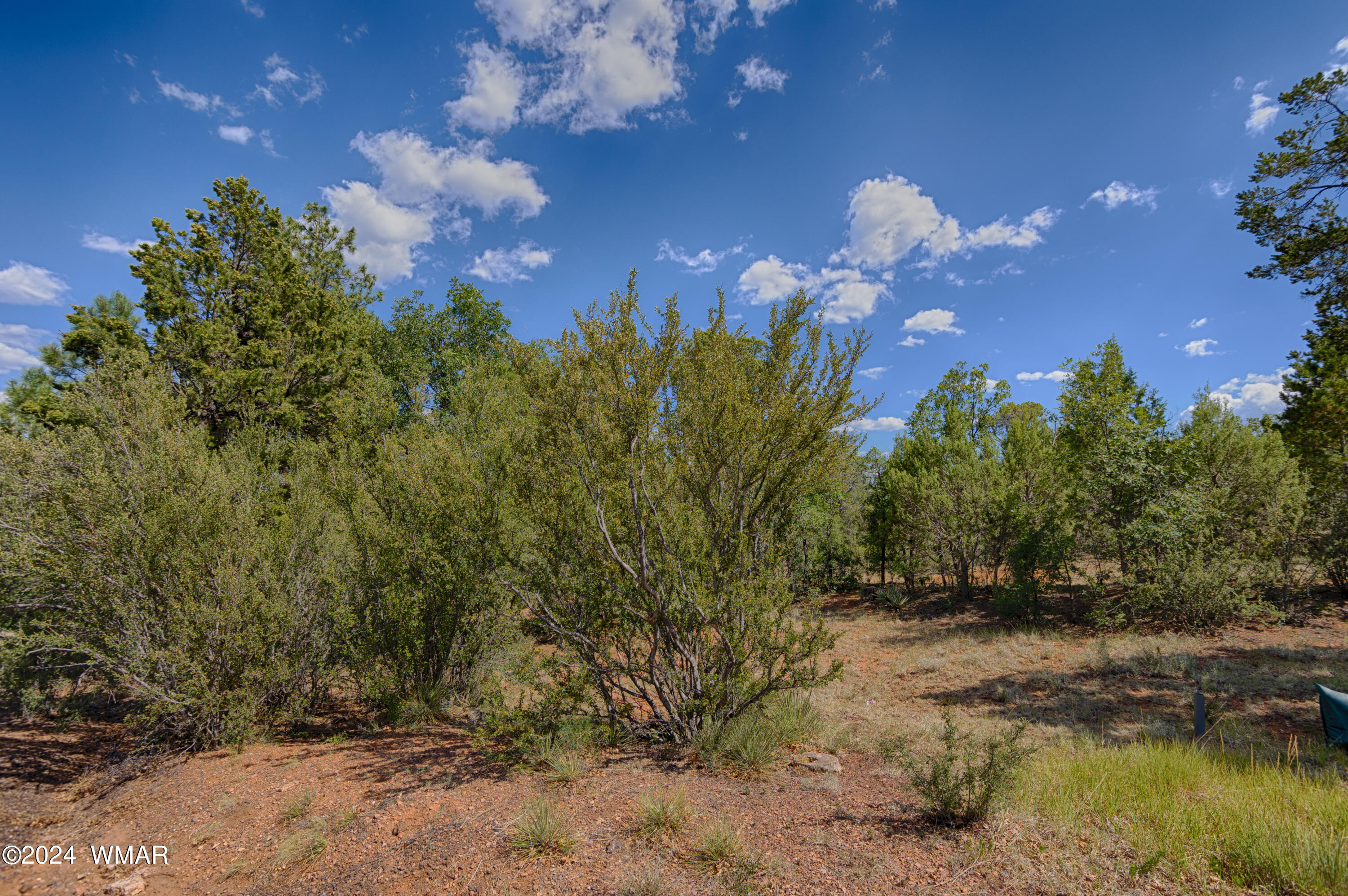 801 W Sierra Pines Drive