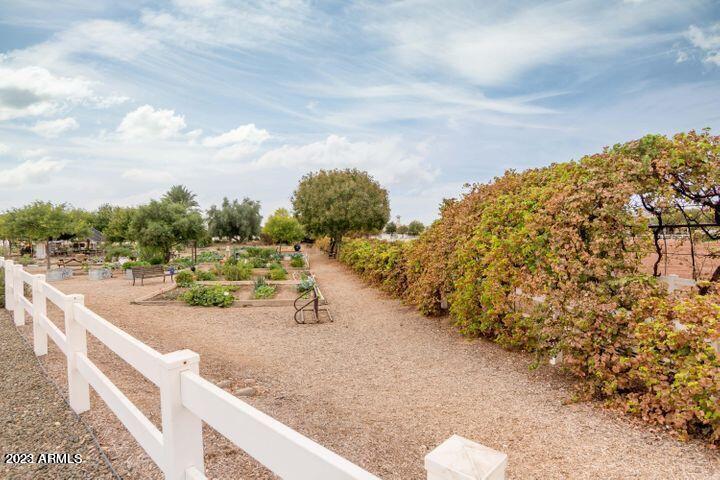 3119 E CAMELLIA Drive