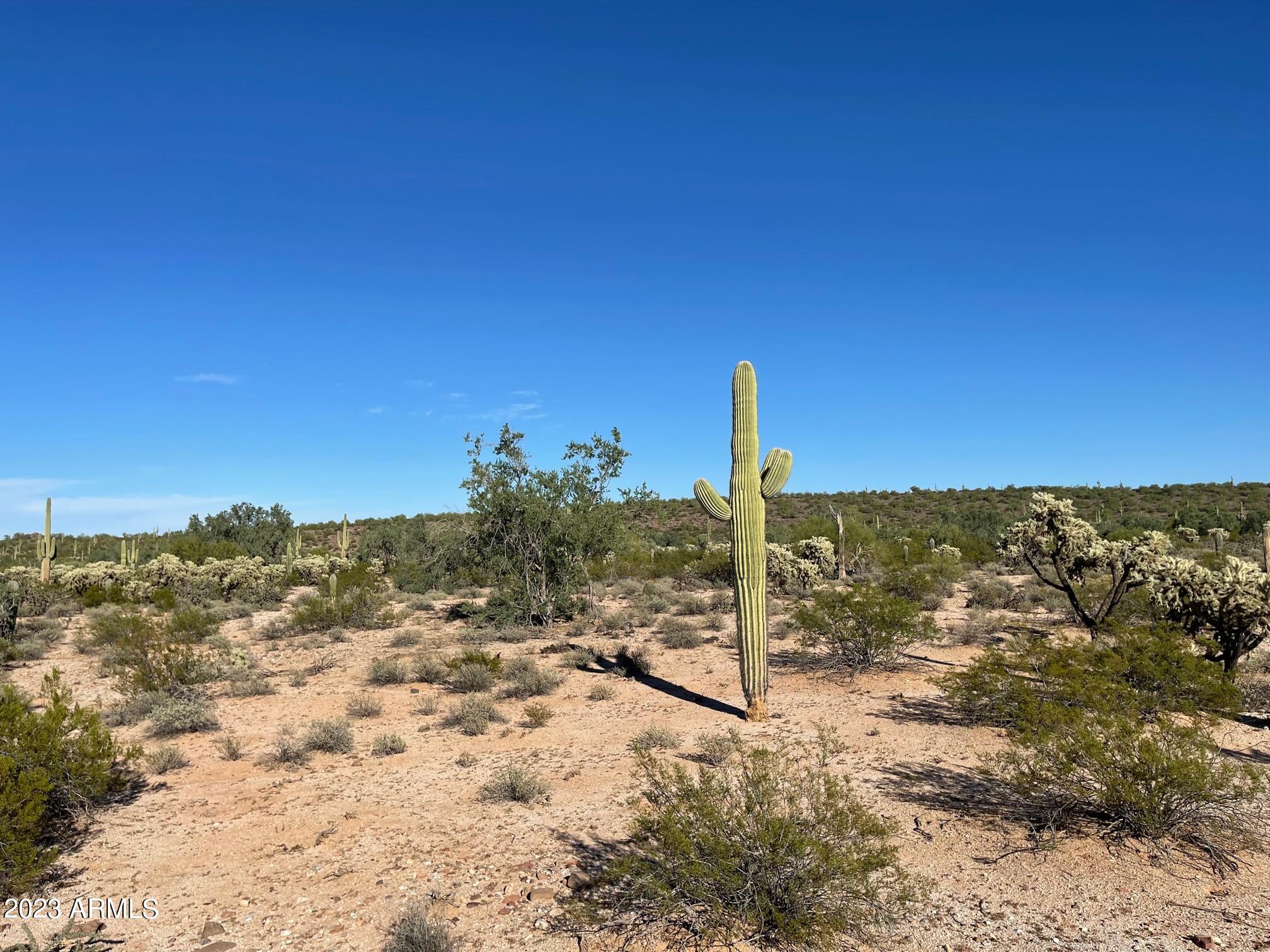 15 Acres E Old Florence Kelvin Highway