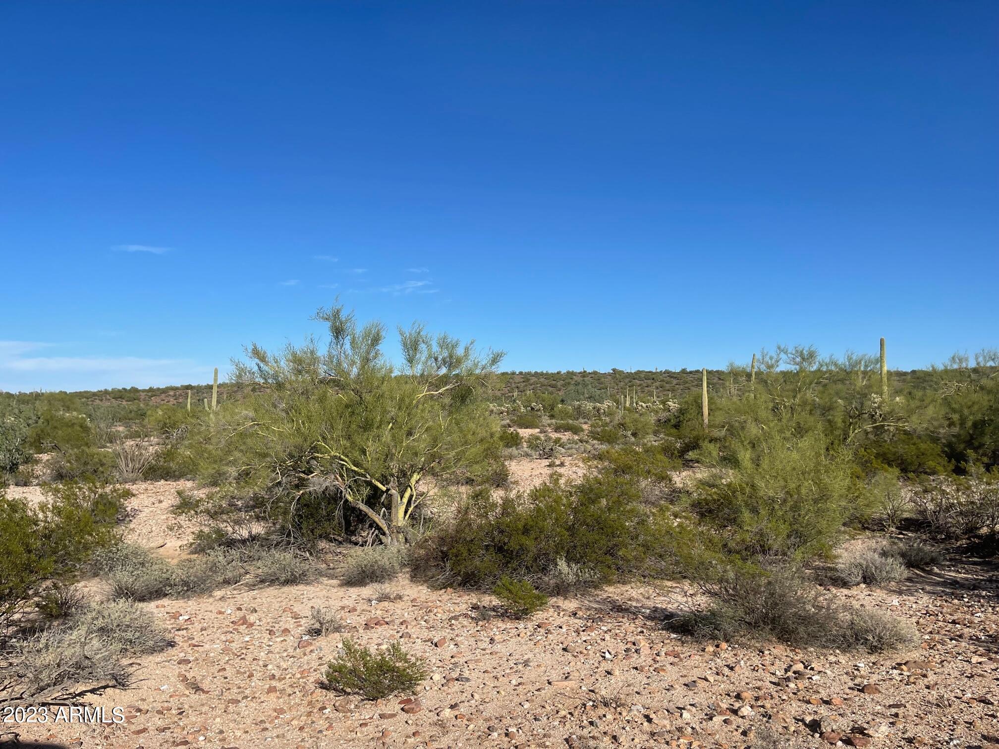 15 Acres E Old Florence Kelvin Highway