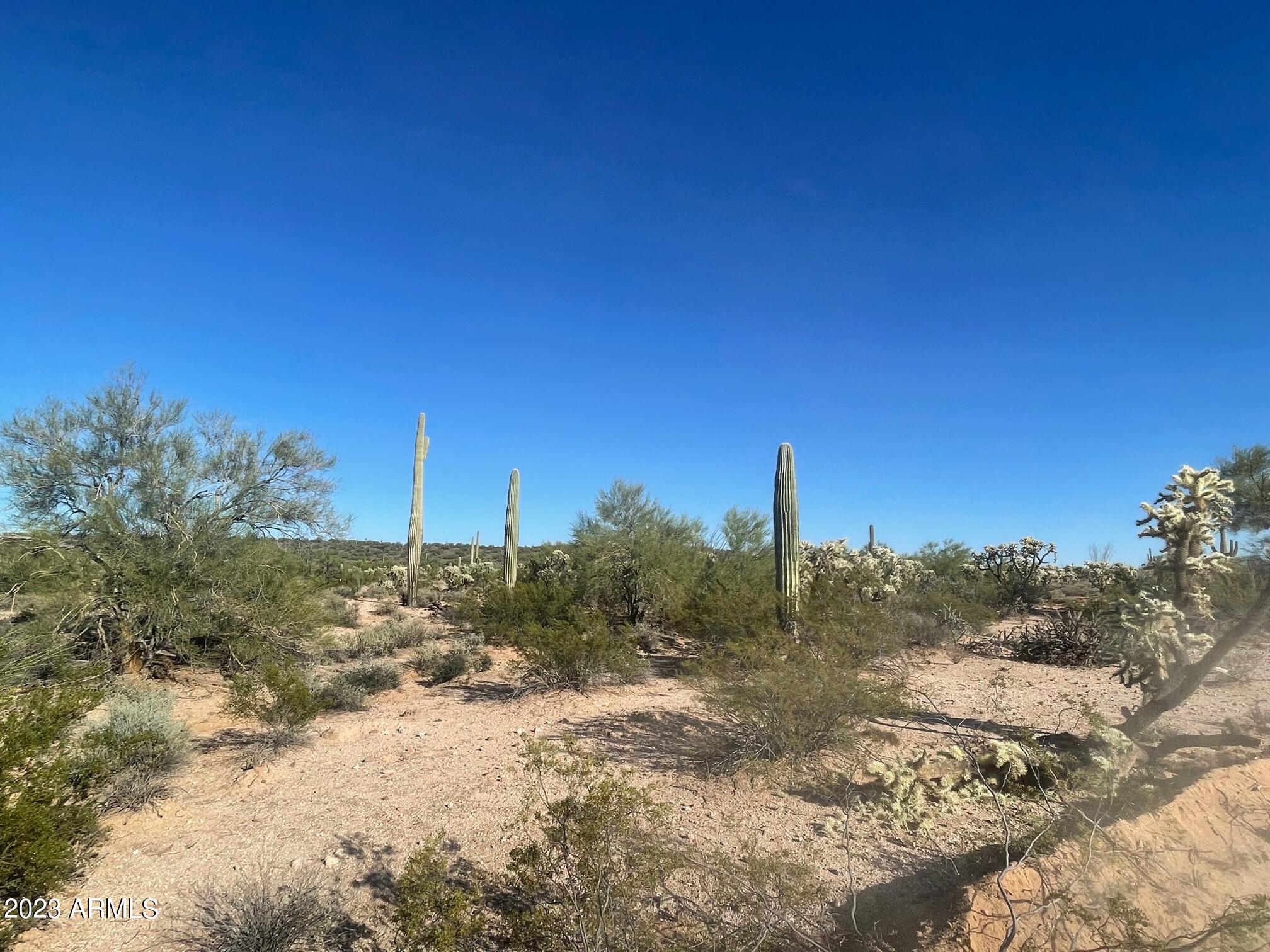 15 Acres E Old Florence Kelvin Highway