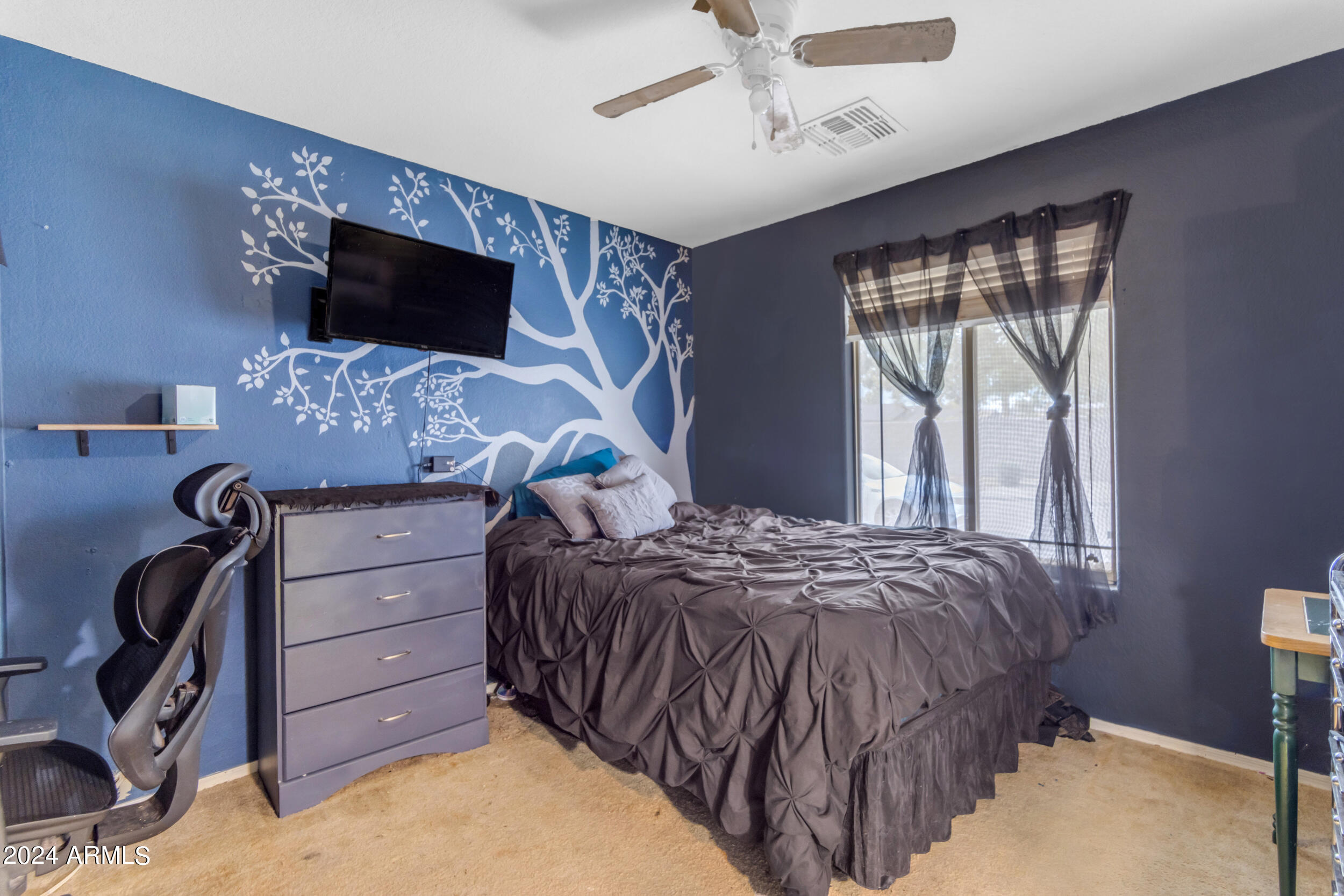 30591 N DESERT STAR Drive