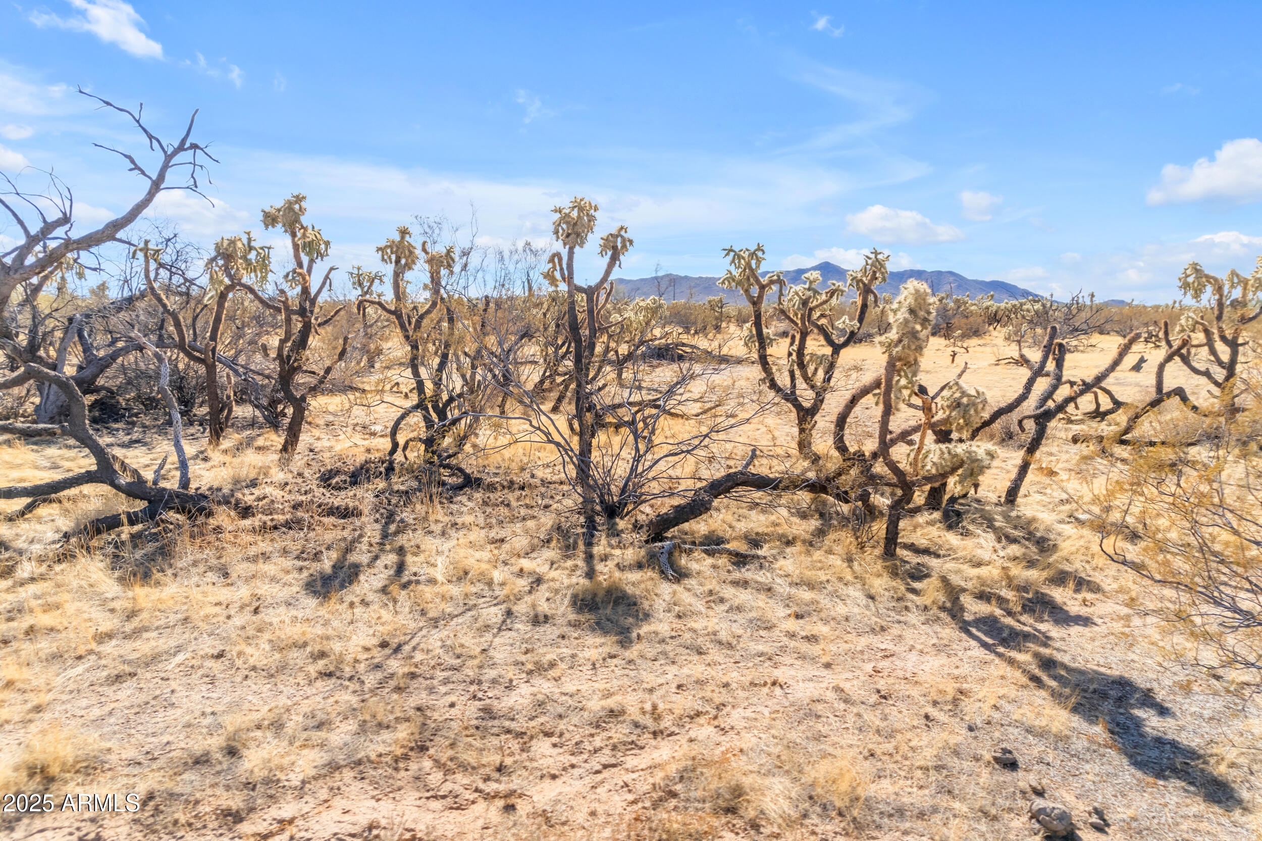 19507 E UNDETERMINED Road, -