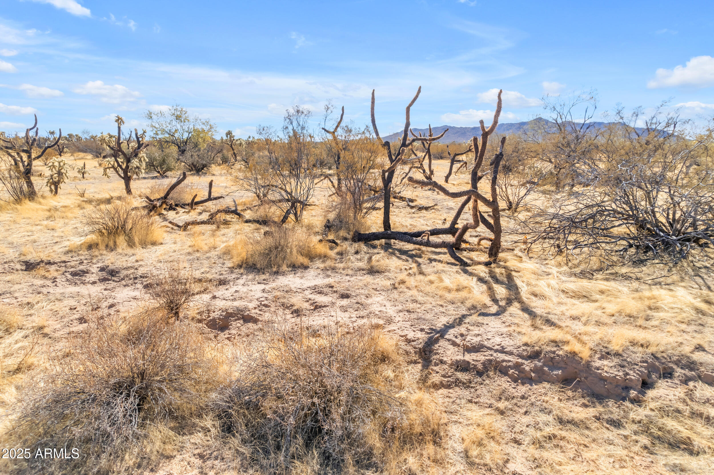 19507 E UNDETERMINED Road, -