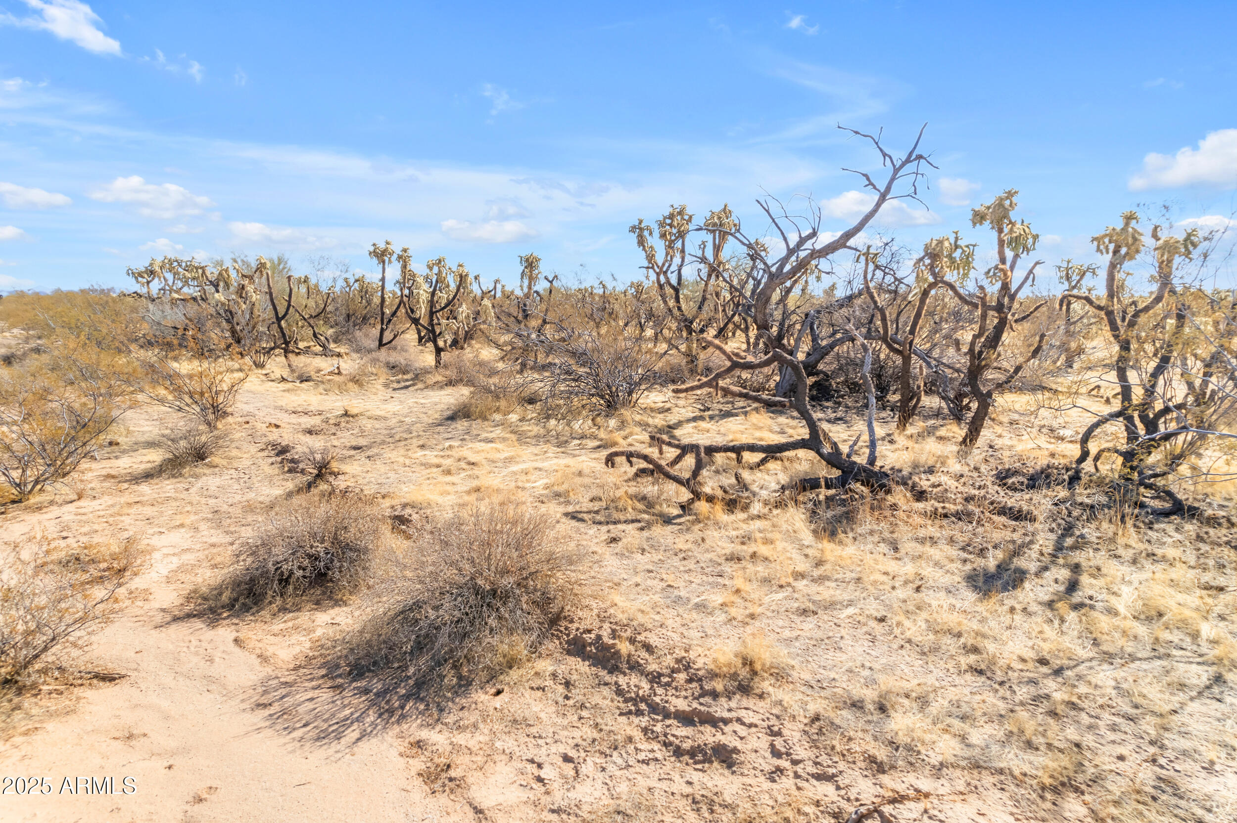 19707 E UNDETERMINED Road, -