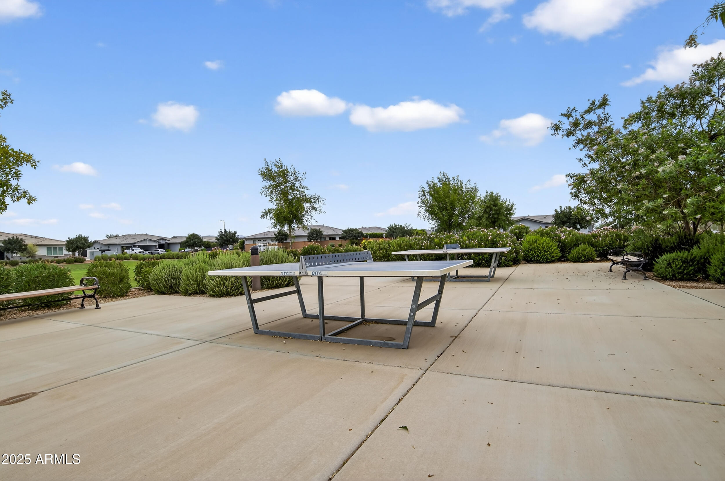 22484 E Calle De Flores