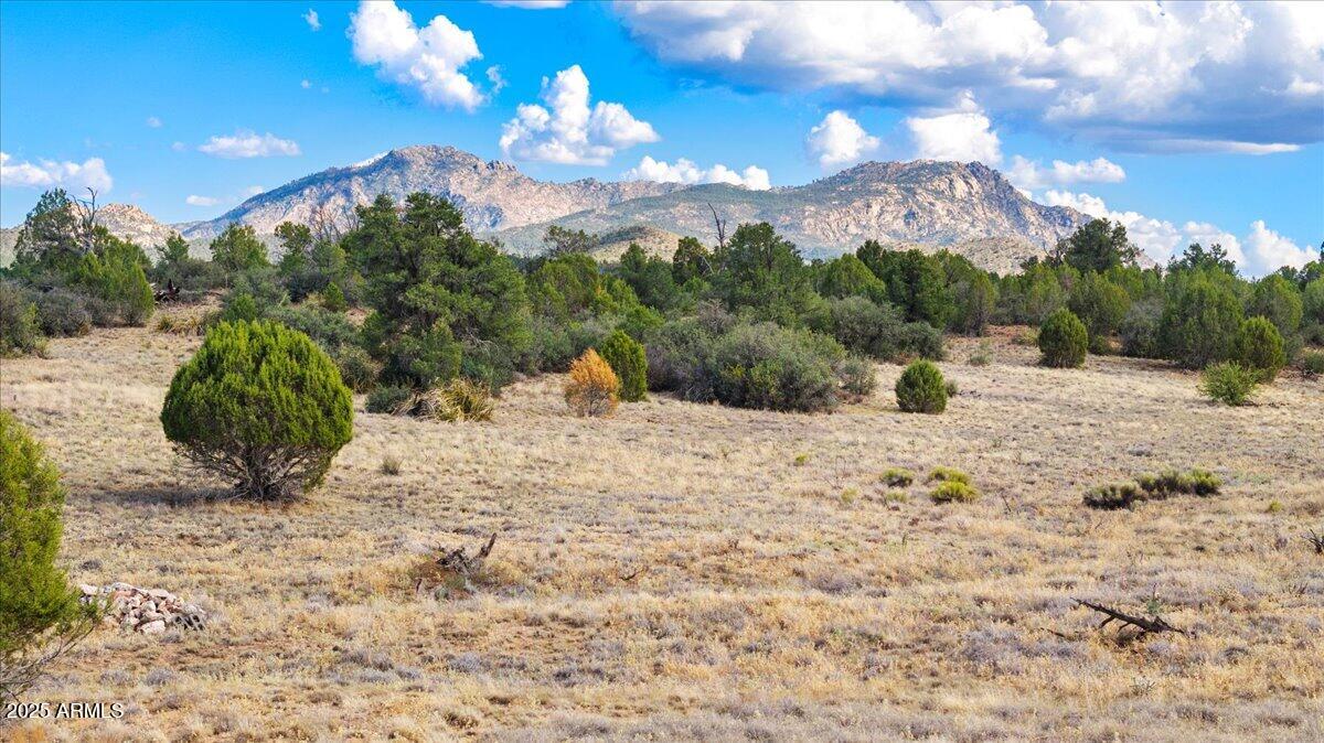 12455 N Puntenney Road, 100, Prescott Unit: 100