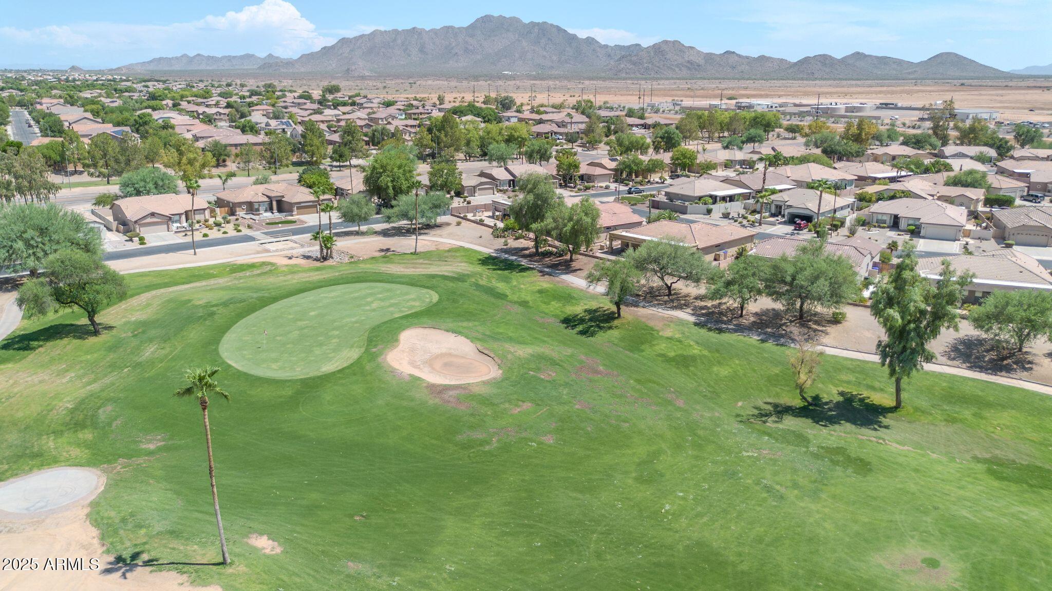 3929 E PEACH TREE Drive