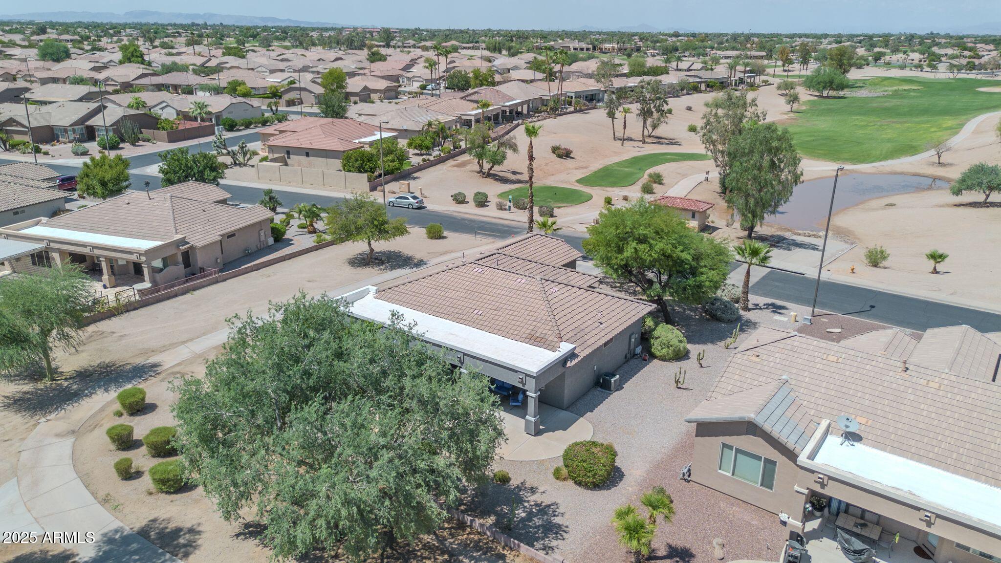 3929 E PEACH TREE Drive