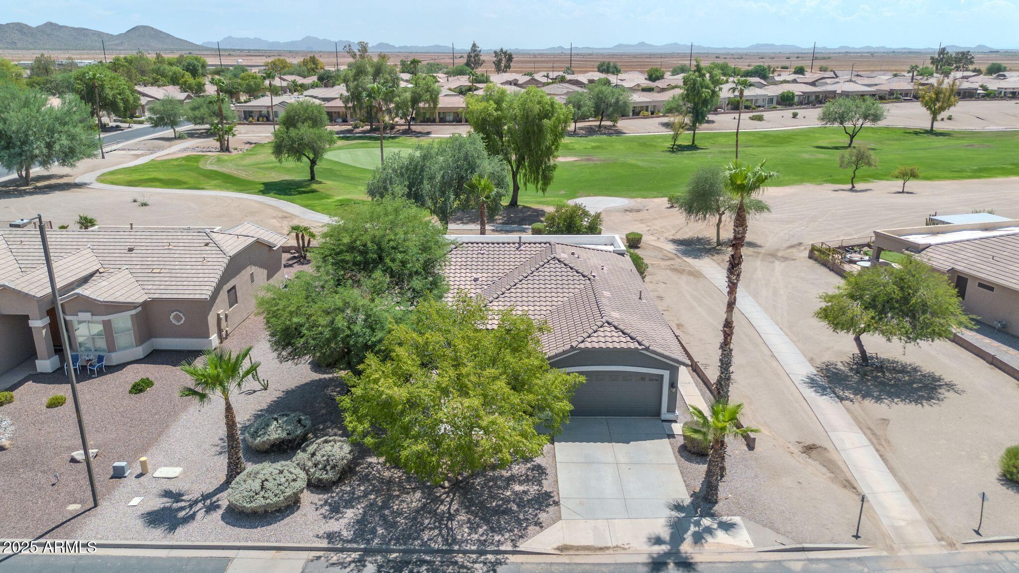 3929 E PEACH TREE Drive