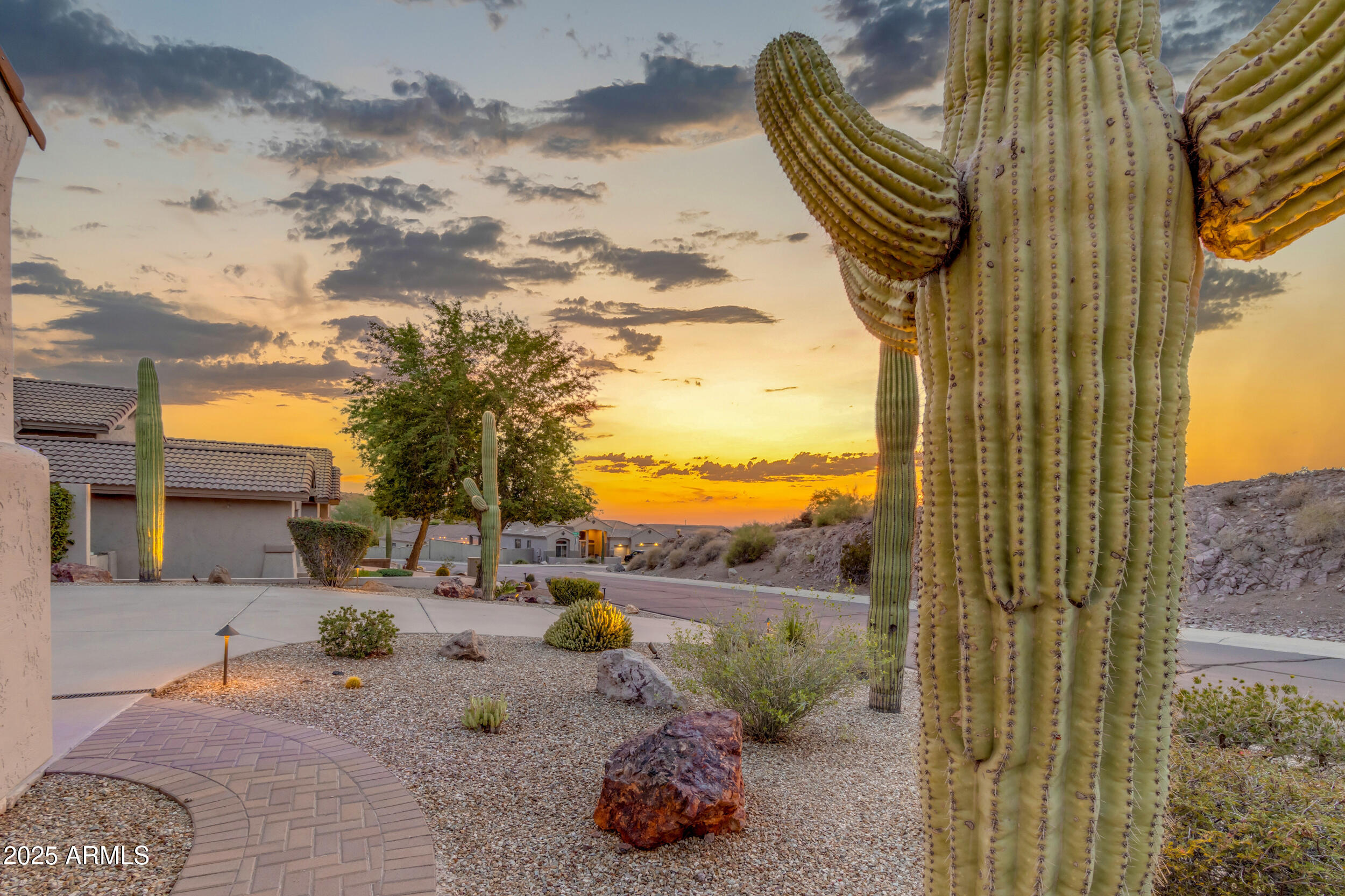 8231 E FAIRY DUSTER Drive