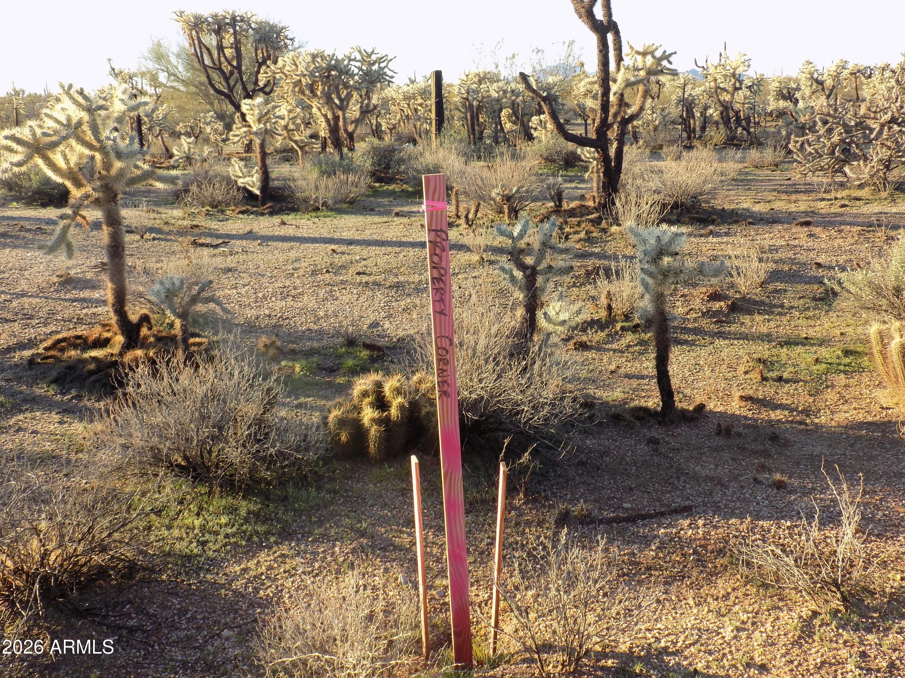 TBD E Cactus Forest Rd Road -