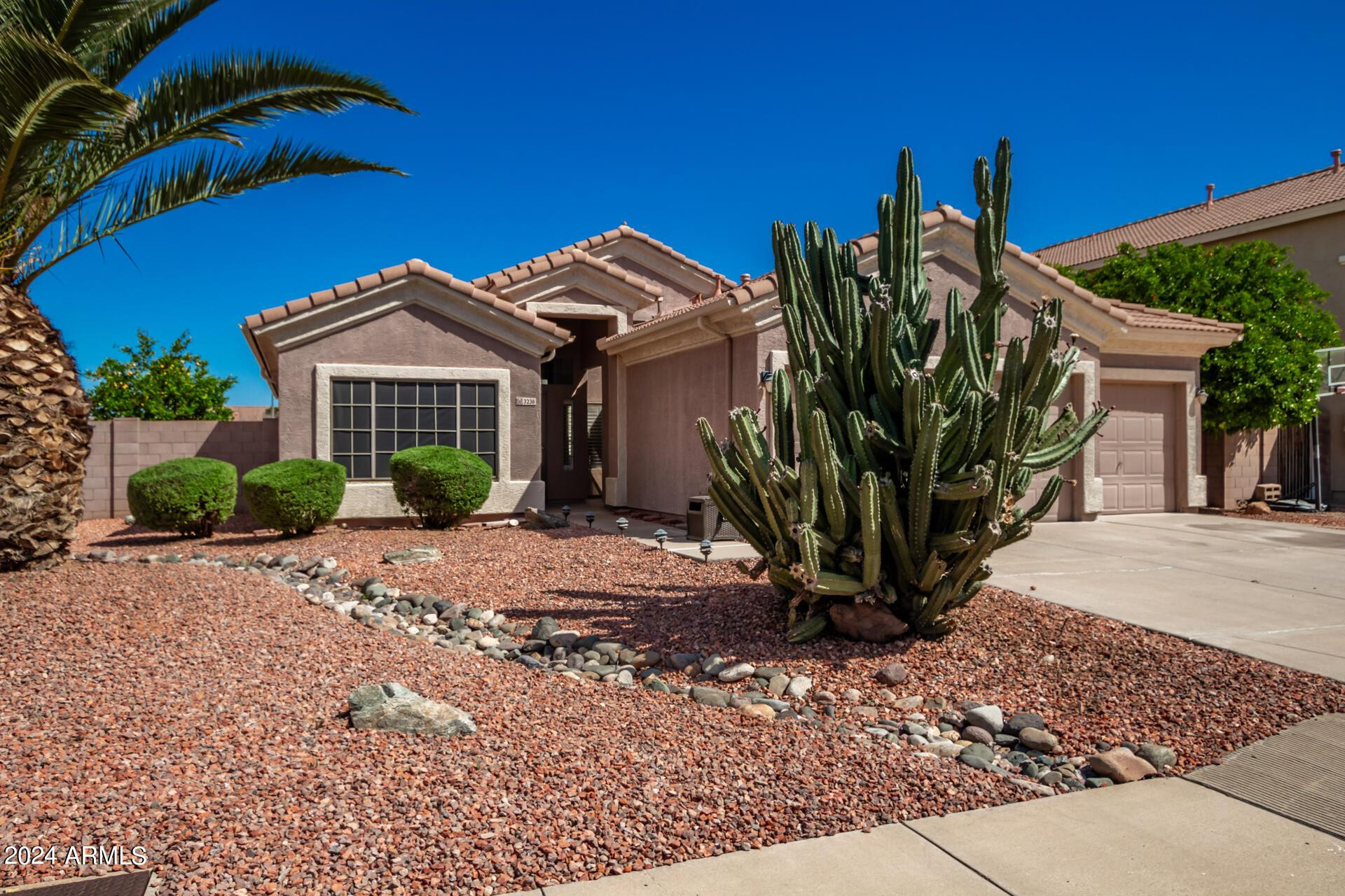 3238 E Javelina Avenue