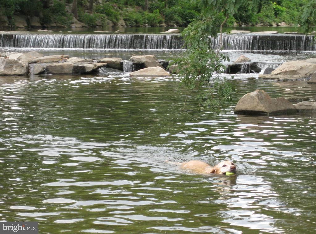 1312 MARTHA CUSTIS DRIVE