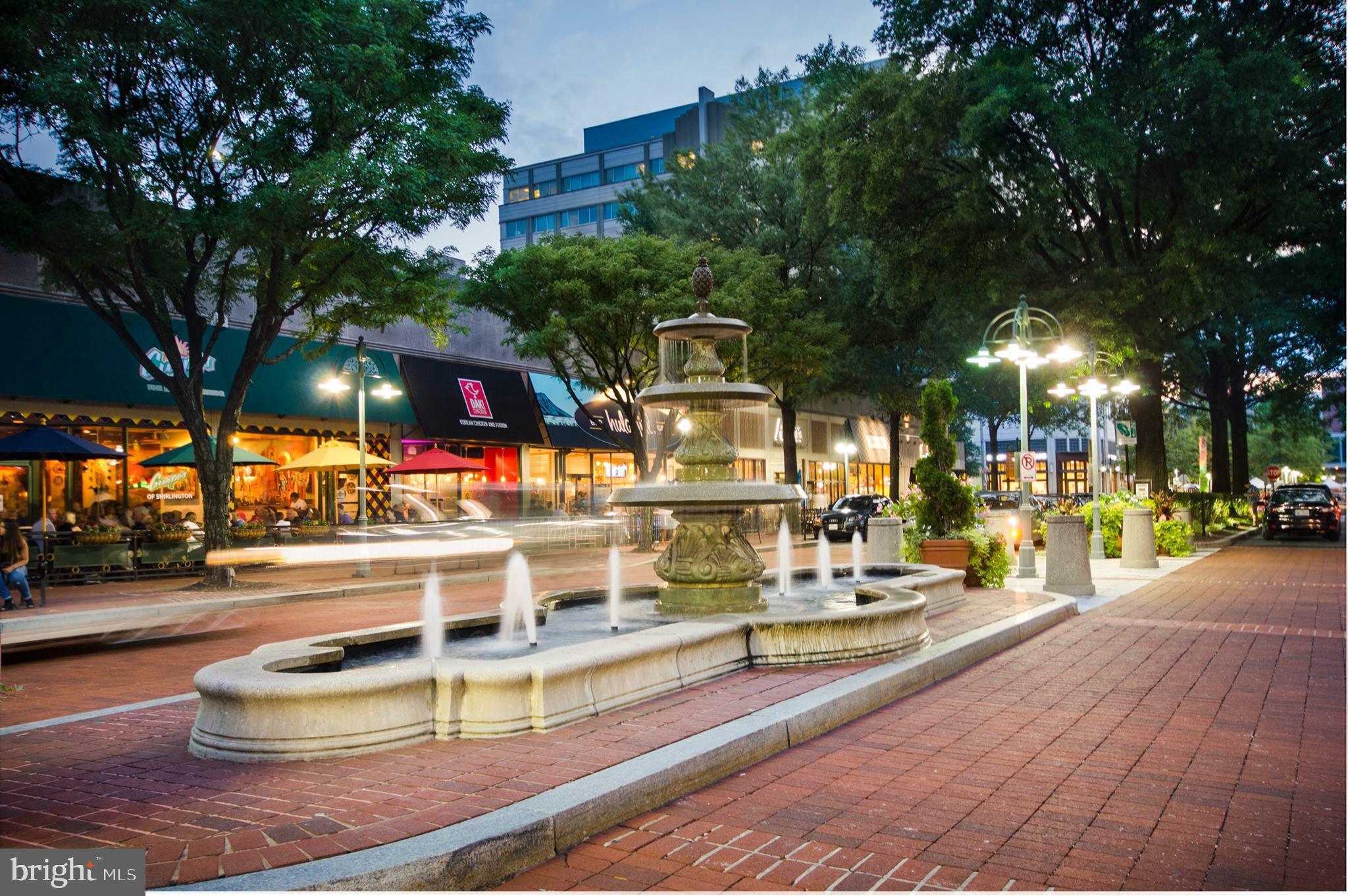 1312 MARTHA CUSTIS DRIVE