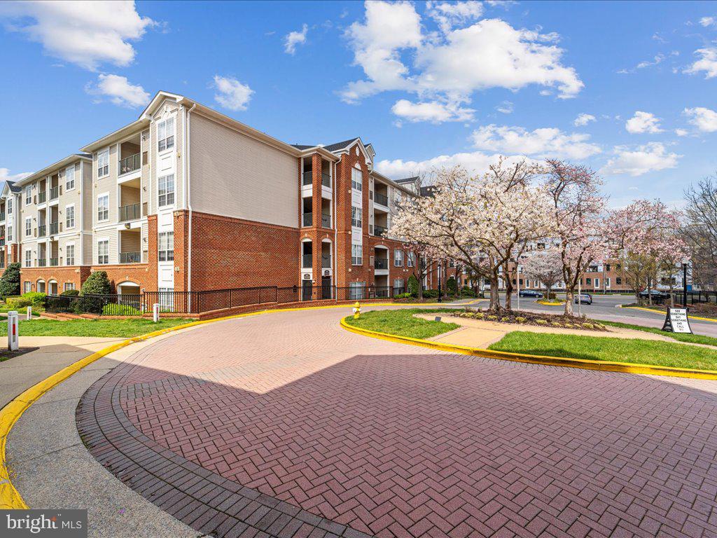 4850 Eisenhower Ave #116